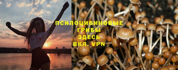а пвп мука Бородино