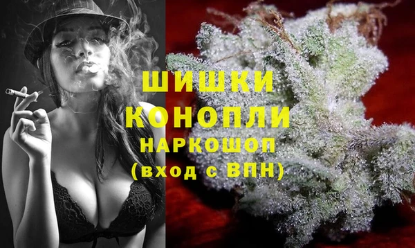 ECSTASY Бронницы