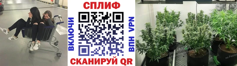 МАРИХУАНА THC 21%  Голицыно 